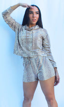 Load image into Gallery viewer, BOA Print Set